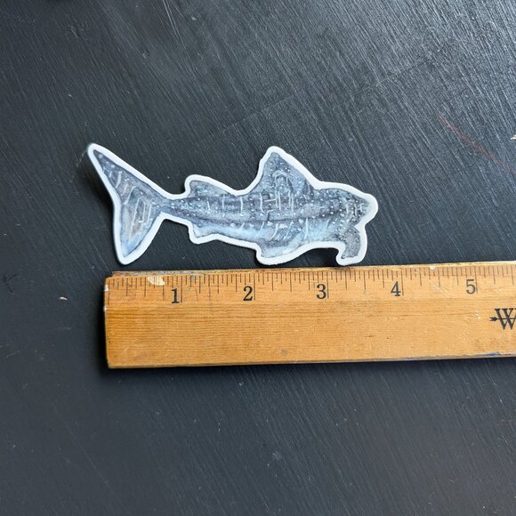 3" vinyl sticker: Star Speckled Whale Shark - Picture 1 of 2